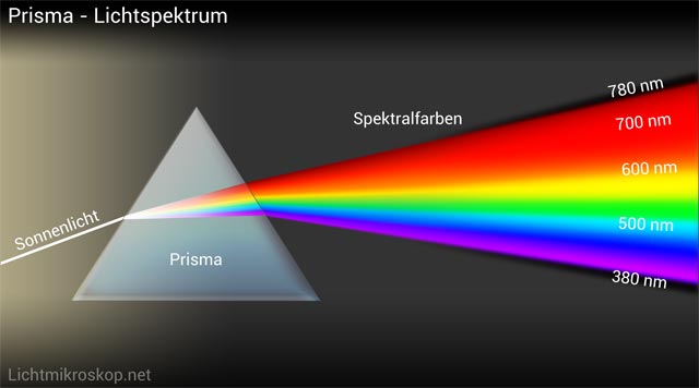 Farbensehen - Wellenlänge Empfindlichkeit Zapfen