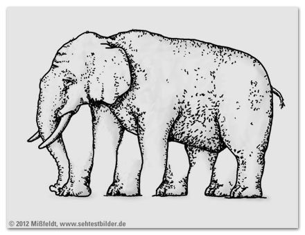 Wie viele Beine hat der Elefant? (optische Illusion)